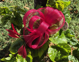 Haargarnering art. ACH388-71 - cerise/rood
