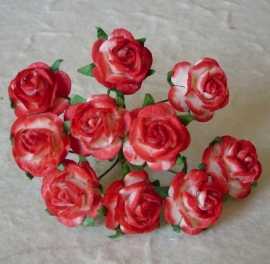Paper roses, 15 mm. rood/wit