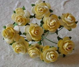 Paper roses, 15 mm. geel 2-tone