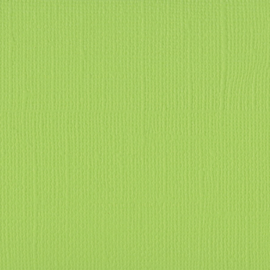 Cardstock - groen, selderij