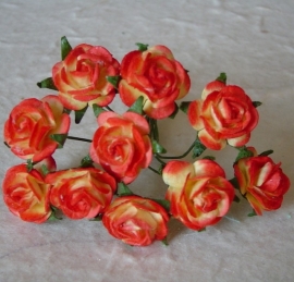 Paper roses, 15 mm. rood/geel
