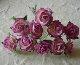Paper roses, 15 mm. paars 2-tone