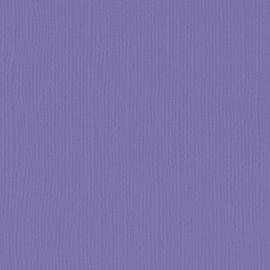 Cardstock - paars, purple