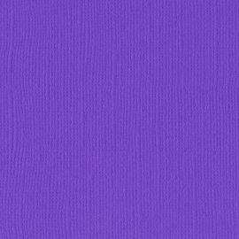 Cardstock - paars, violet