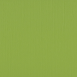 Cardstock - groen, pistache
