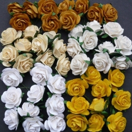 Paper roses, 25 mm. aarde