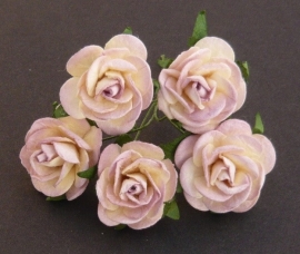 Paper roses, 25 mm. mushroom/cream