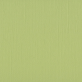 Cardstock - groen, anijs