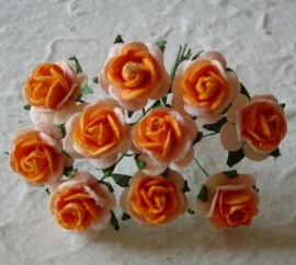 Paper roses, 15 mm. oranje 2-tone