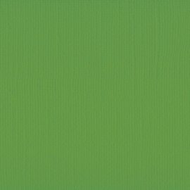 Cardstock - groen, kikker