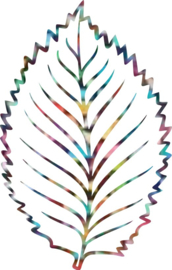 Flex Fantasy Kaleidoscope