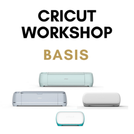 Basis workshop Cricut dinsdag 27 Februari 2024