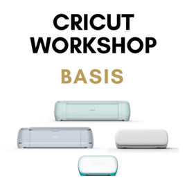 Basis workshop Cricut dinsdag 23 April 2024