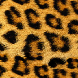 Flex Easy Pattern Wild Leopard