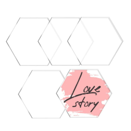 TeckWrap Acrylaat Disc Hexagon 5 stuks