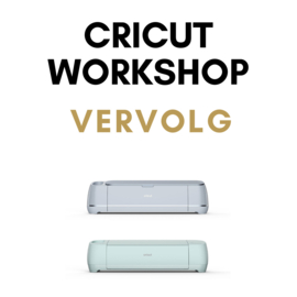 Workshop Cricut (meerkleuren plaatje)  Zaterdag 12 Juli | 09:30-11:30