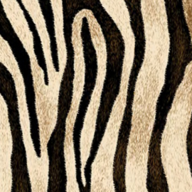 Flex Easy Pattern Wild Zebra (transferfolie nodig)