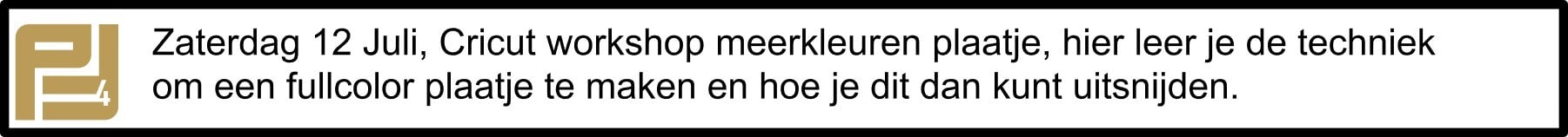 Cricut workshop 12 juli 2025