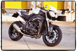 Techspec Snake skin Triumph Speed Triple 11-15