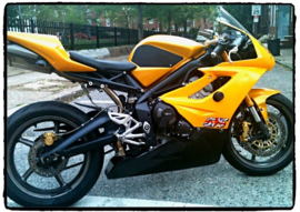 Techspec Snake skin Triumph  Street Triple / 675R (06-12)