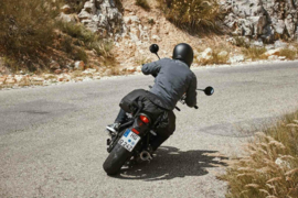 SW Motech ION L zadeltas