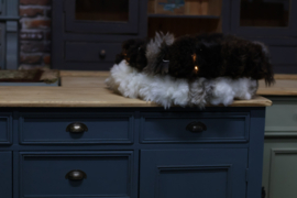 Dressoir *landhuis* vintage winter