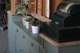 Dressoir vintage urban jungle