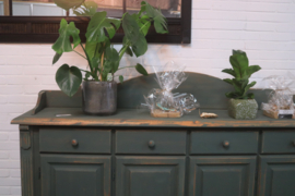 Dressoir botanisch vintage green