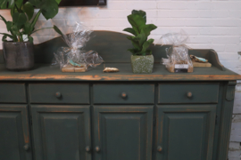 Dressoir botanisch vintage green