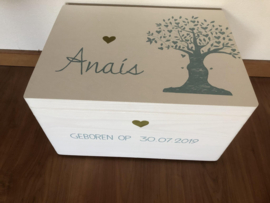 Geboortekist Anais