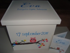 geboortekist voor Eva