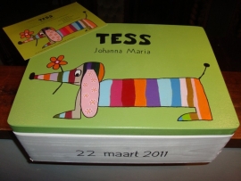 geboortekist voor Tess