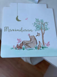 Geboortestoeltje Maximiliaan