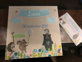 Geboorteschilderij Lucas