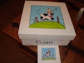 geboortekist voor Sam