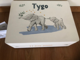 Geboortekist Tygo