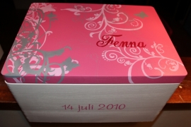 Geboortekist voor Fenna