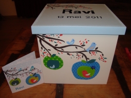 geboortekist voor Ravi