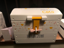 Schatkist Cato