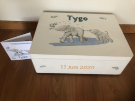 Geboortekist Tygo