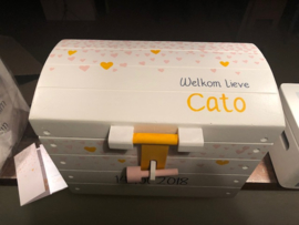 Schatkist Cato