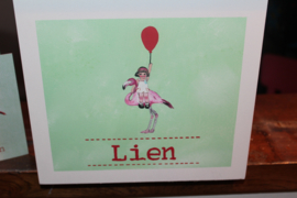 Geboortekist Lien