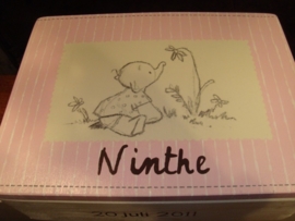 Geboortekist voor Ninthe