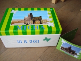 Geboortekistje voor Micha