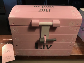 Schatkist Liv