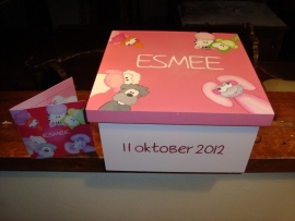 Geboortekistje voor Esmee