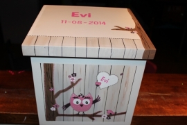 Geboortekist voor Evi
