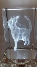 Laserblok Poes