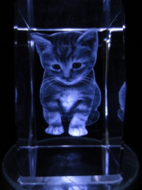 laserblok Kitten