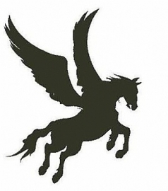 Pegasus